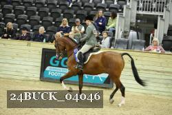 24BUCK_04046 thumbnail
