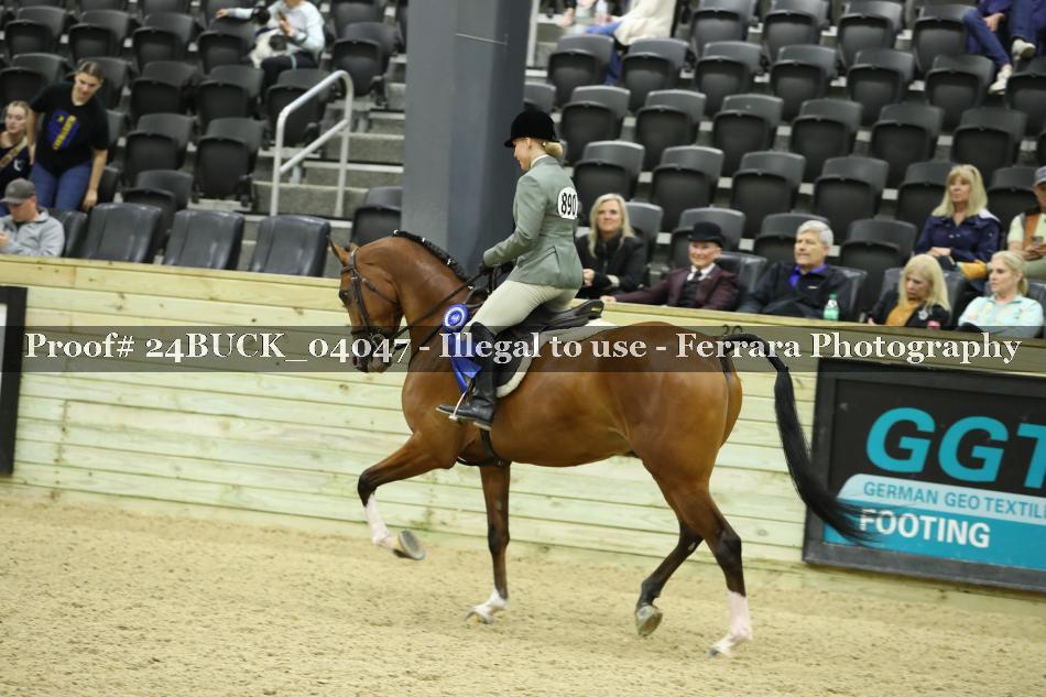 Proof Number 24BUCK_04047