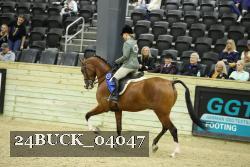 24BUCK_04047 thumbnail