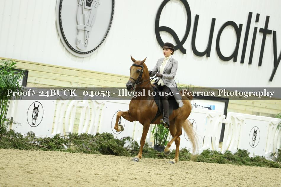 Proof Number 24BUCK_04053