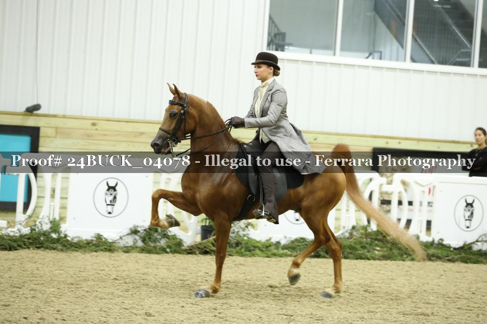 Proof Number 24BUCK_04078