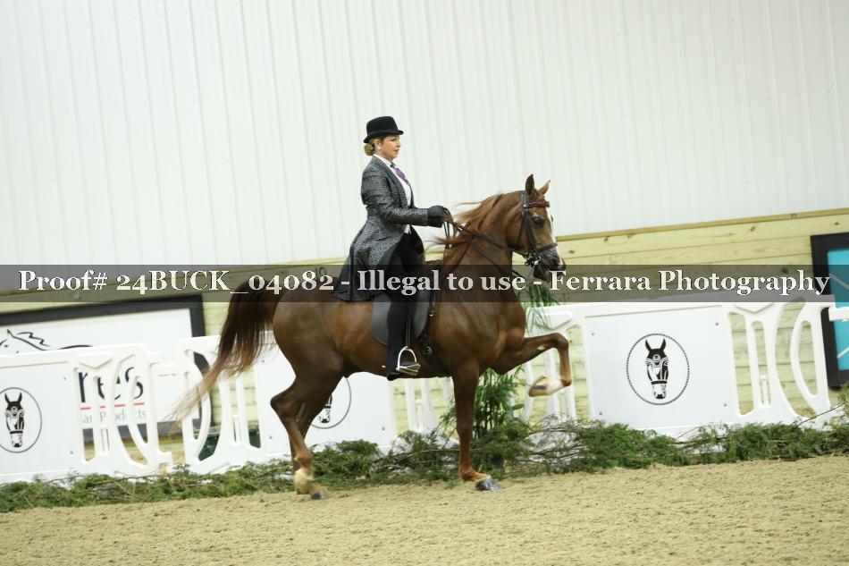 Proof Number 24BUCK_04082