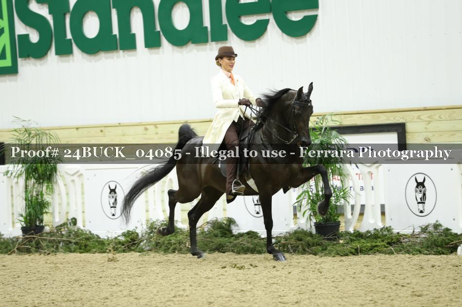 Proof Number 24BUCK_04085