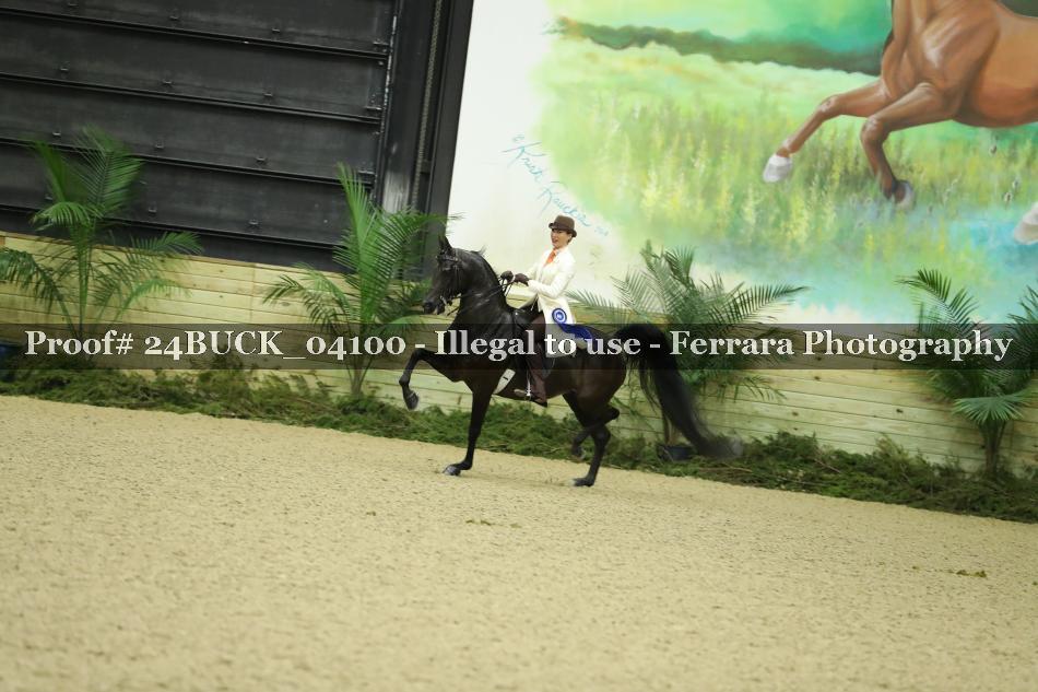Proof Number 24BUCK_04100