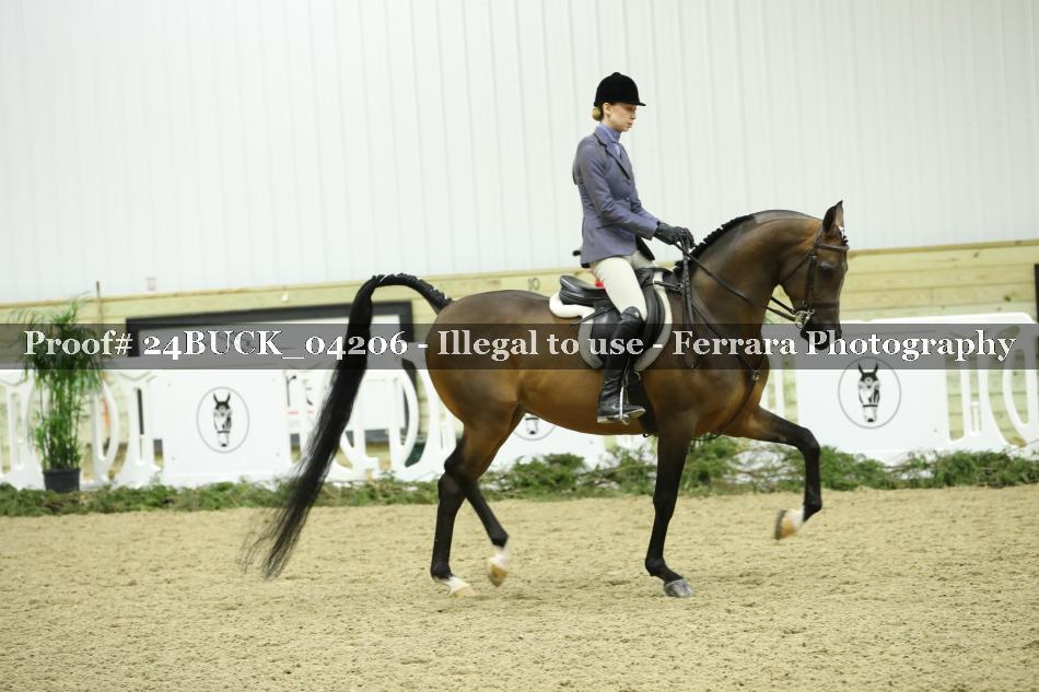 Proof Number 24BUCK_04206