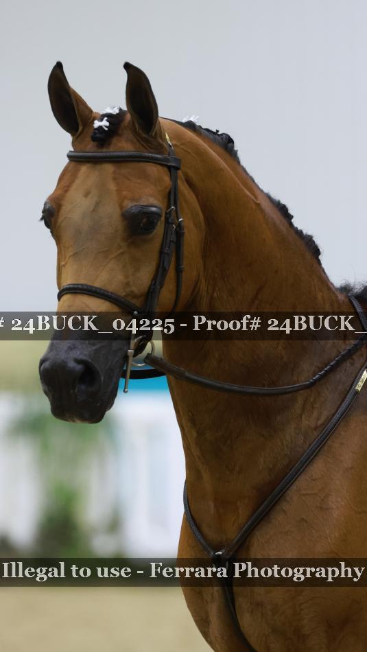 Proof Number 24BUCK_04225