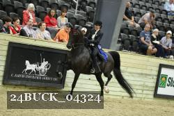 24BUCK_04324 thumbnail