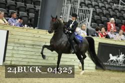 24BUCK_04325 thumbnail