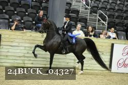 24BUCK_04327 thumbnail