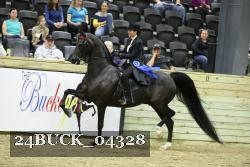 24BUCK_04328 thumbnail