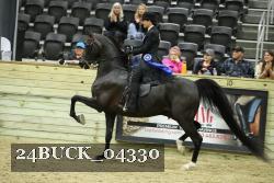 24BUCK_04330 thumbnail