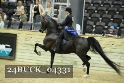 24BUCK_04331 thumbnail