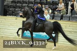 24BUCK_04332 thumbnail