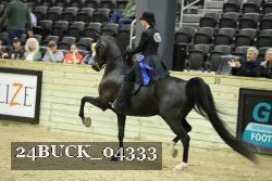 24BUCK_04333 thumbnail
