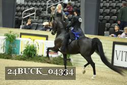24BUCK_04334 thumbnail