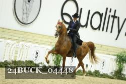 24BUCK_04448 thumbnail