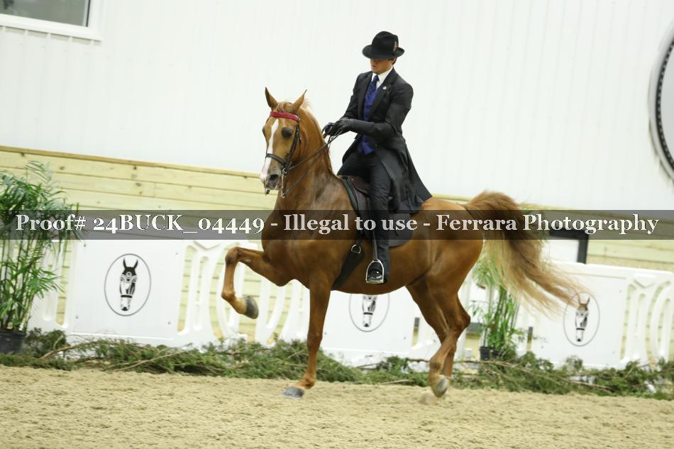 Proof Number 24BUCK_04449
