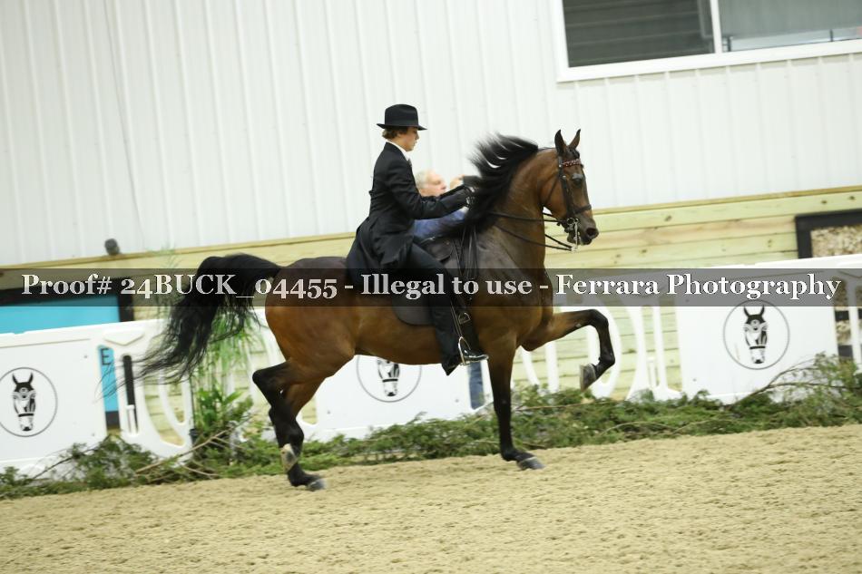 Proof Number 24BUCK_04455