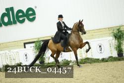 24BUCK_04457 thumbnail