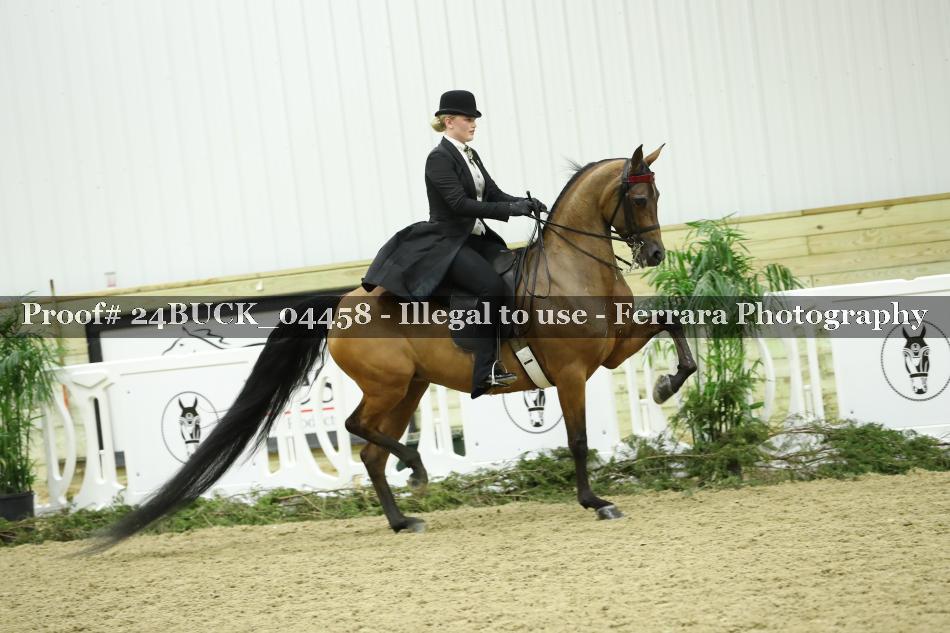 Proof Number 24BUCK_04458