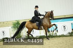 24BUCK_04459 thumbnail