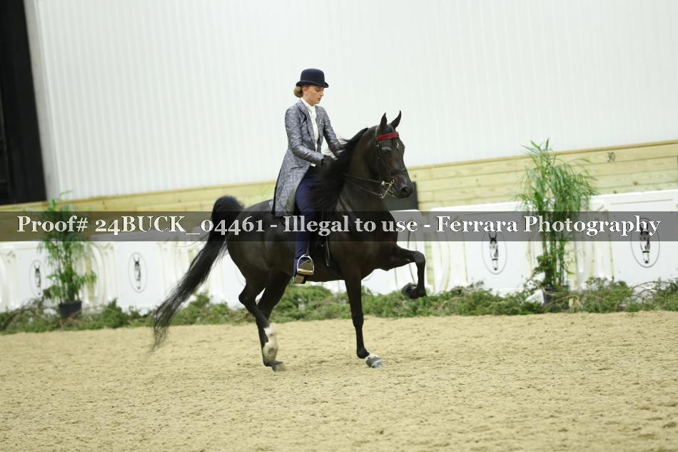 Proof Number 24BUCK_04461