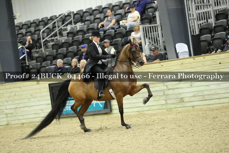 Proof Number 24BUCK_04466