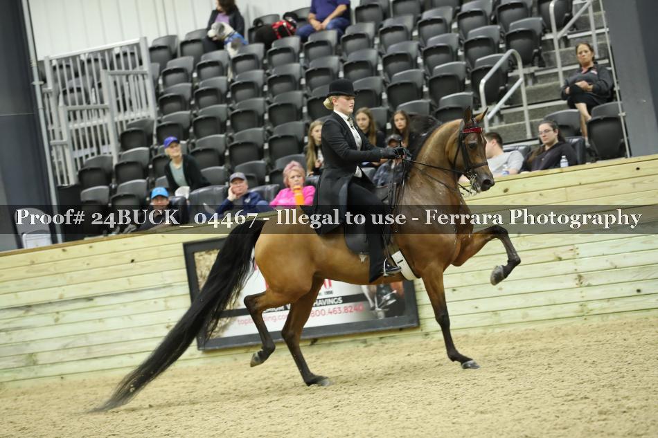 Proof Number 24BUCK_04467