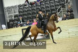 24BUCK_04467 thumbnail