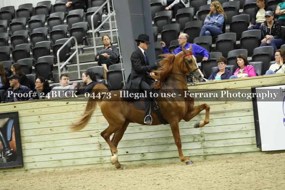 Proof Number 24BUCK_04473