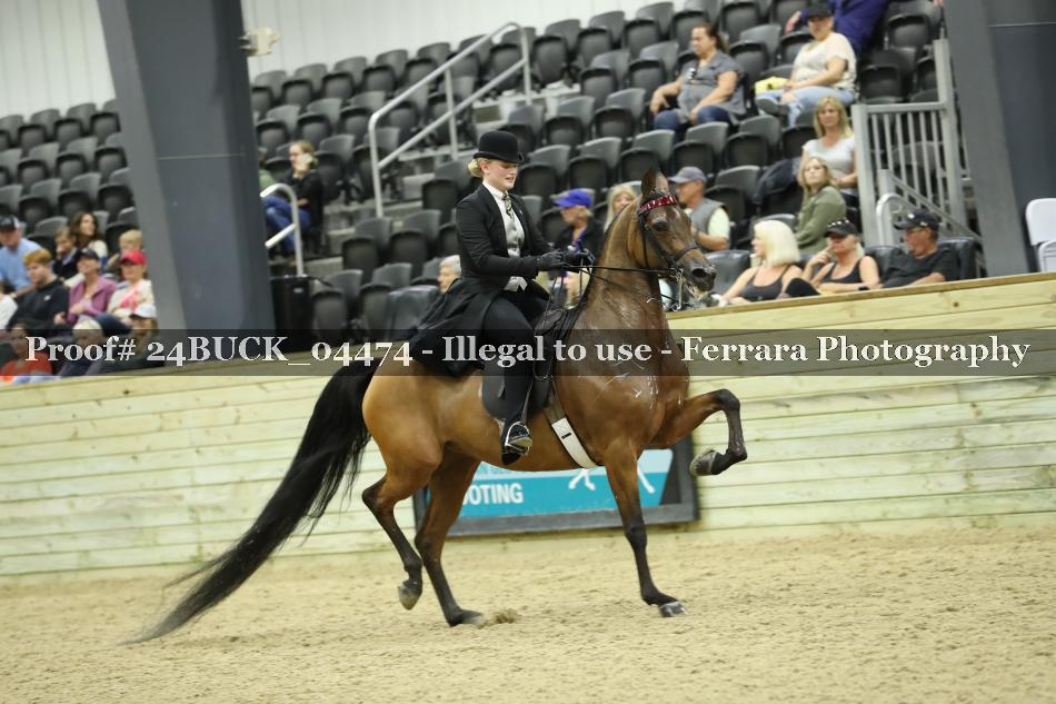 Proof Number 24BUCK_04474