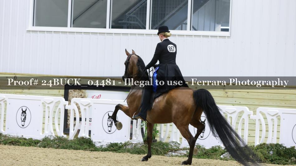 Proof Number 24BUCK_04481