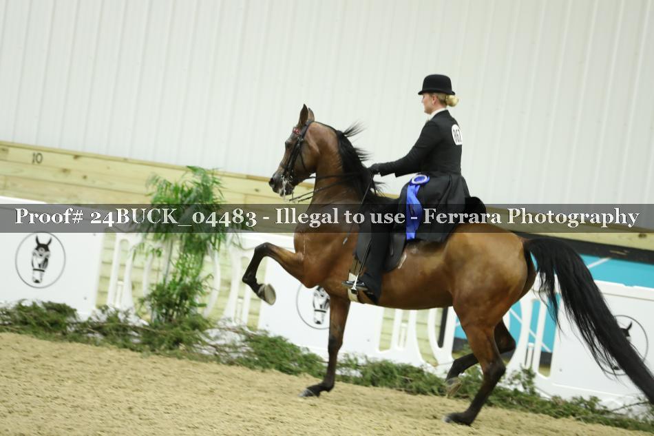 Proof Number 24BUCK_04483