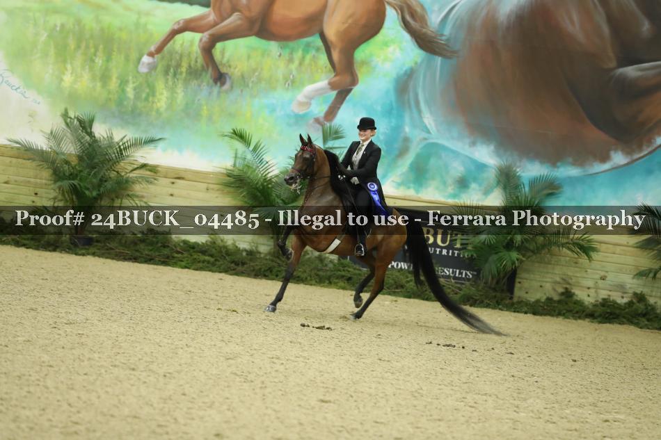 Proof Number 24BUCK_04485