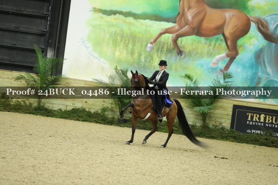 Proof Number 24BUCK_04486