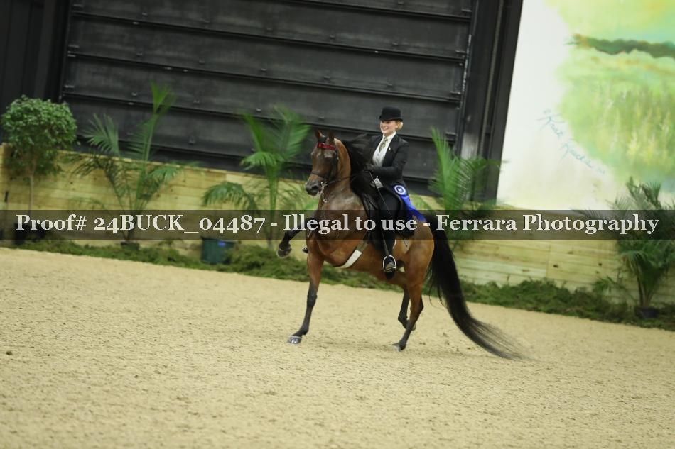 Proof Number 24BUCK_04487