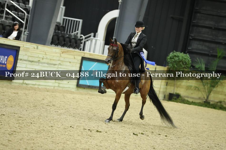 Proof Number 24BUCK_04488