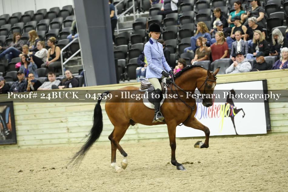 Proof Number 24BUCK_04559