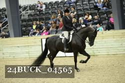 24BUCK_04565 thumbnail