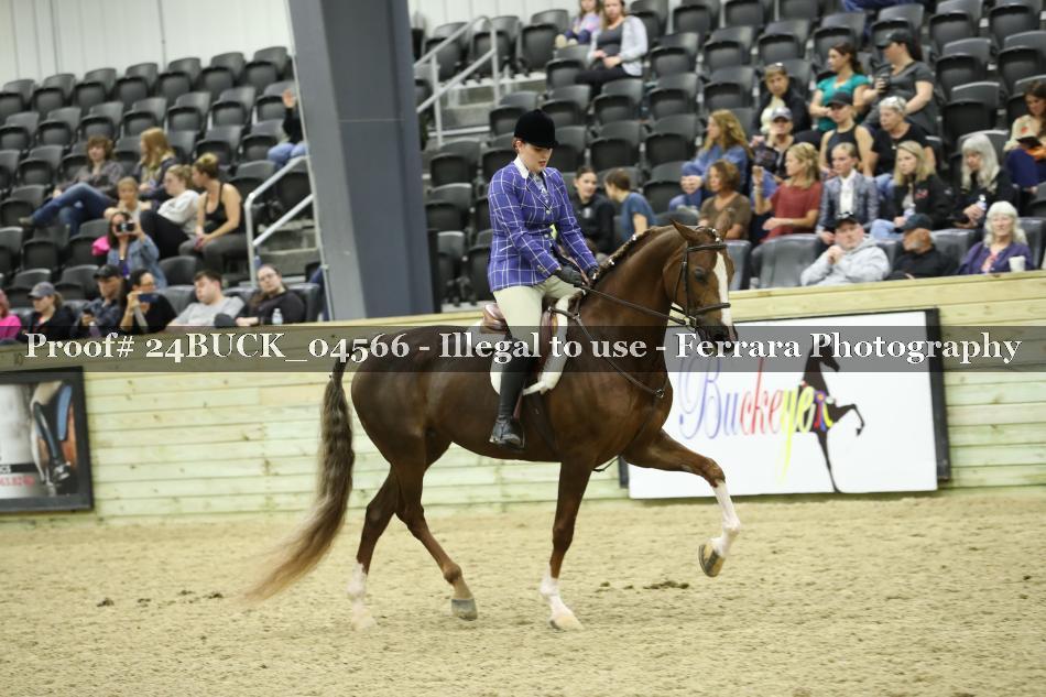 Proof Number 24BUCK_04566