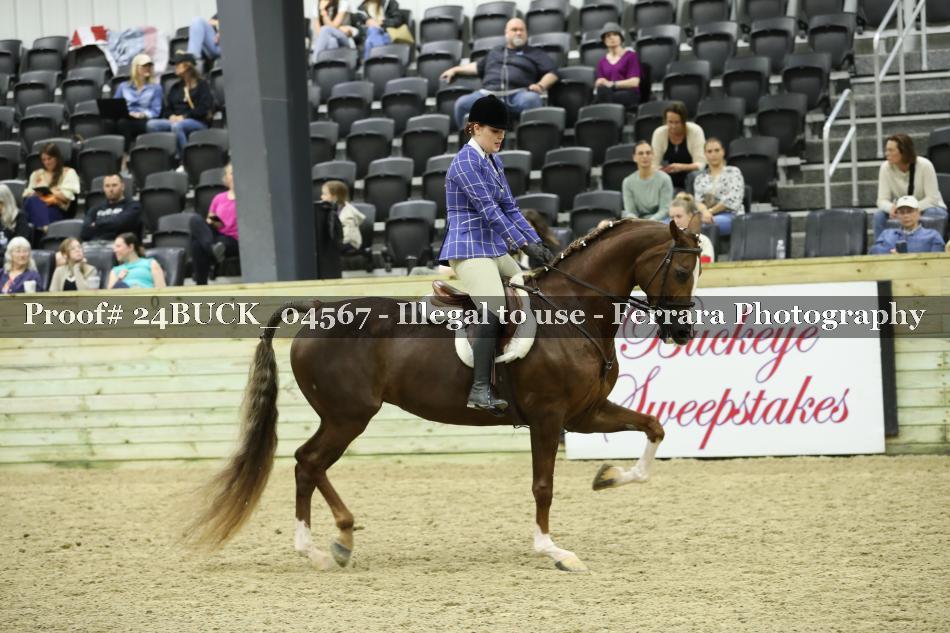 Proof Number 24BUCK_04567
