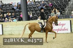 24BUCK_04572 thumbnail