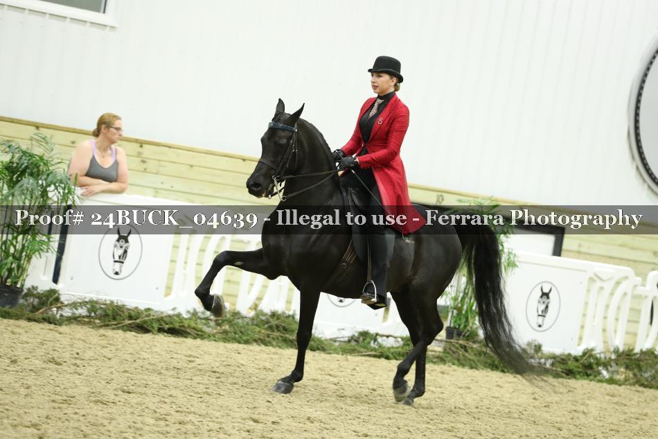 Proof Number 24BUCK_04639