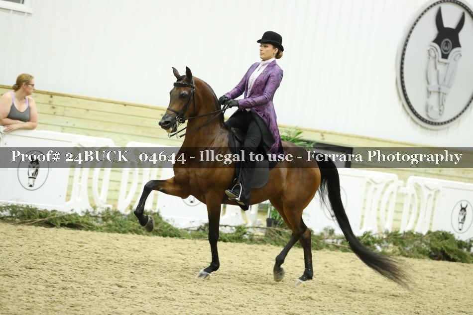 Proof Number 24BUCK_04644