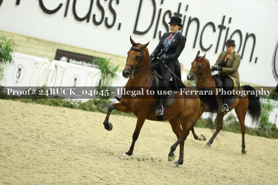 Proof Number 24BUCK_04645