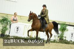 24BUCK_04650 thumbnail