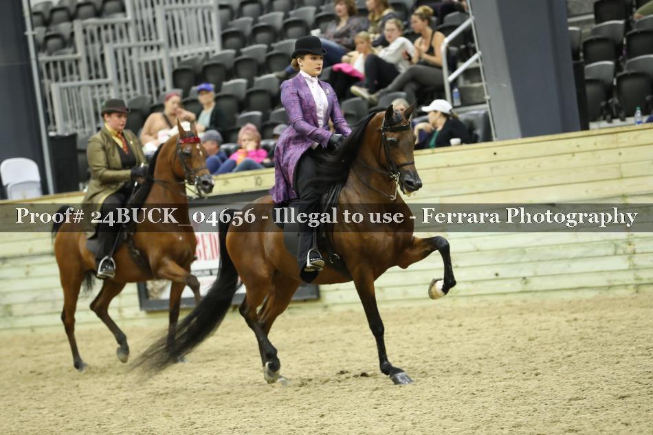 Proof Number 24BUCK_04656