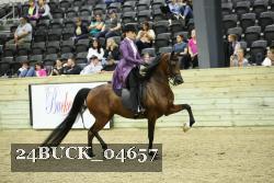 24BUCK_04657 thumbnail