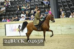 24BUCK_04658 thumbnail