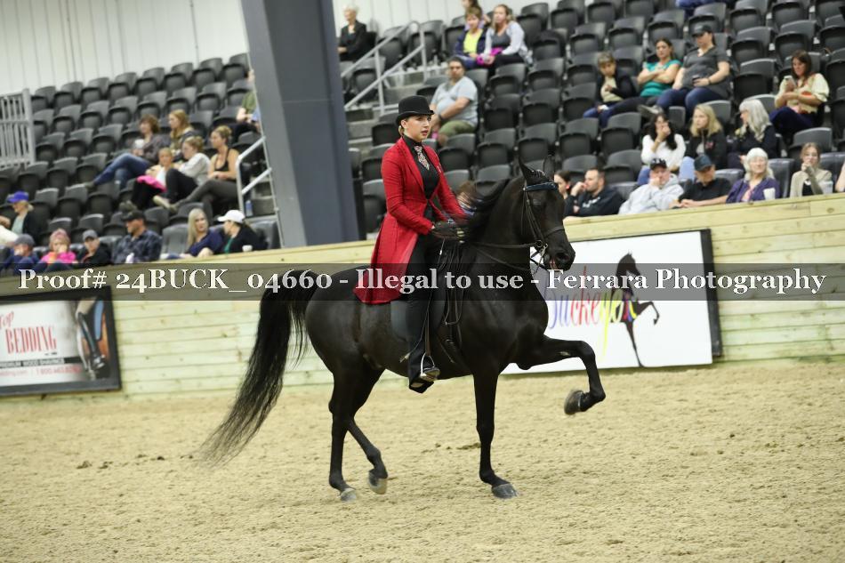 Proof Number 24BUCK_04660